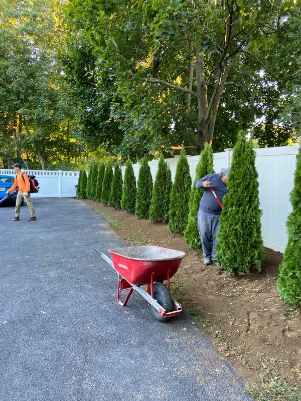 Hardscaping
