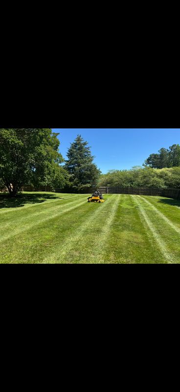 Lawn maitence