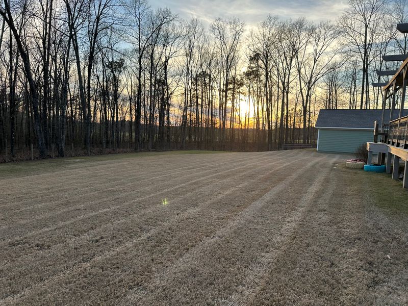 Spring/Fall Clean Up