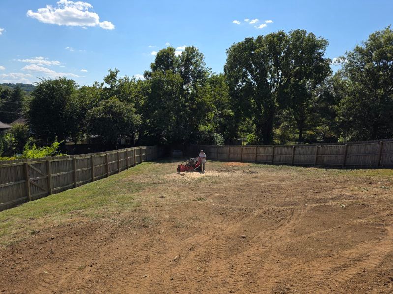 Stump Removal