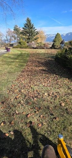 Lawn Maintenance