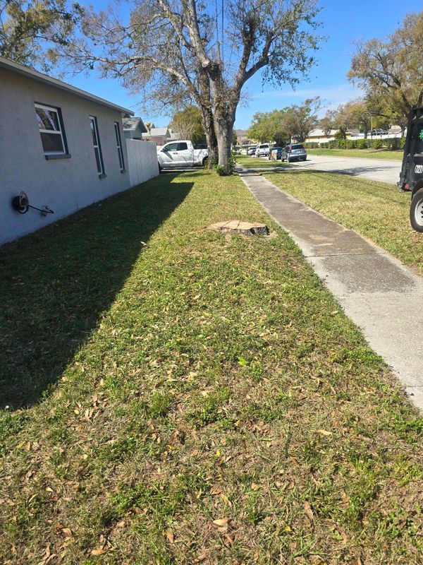 Stump Removal