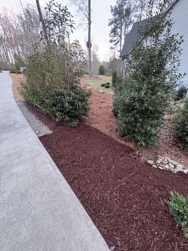 Shrub Trimming