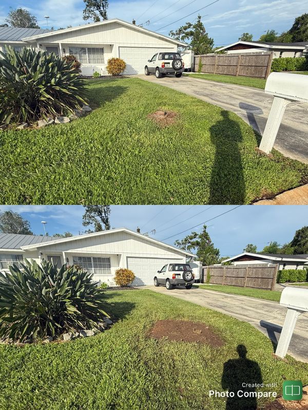Stump Removal