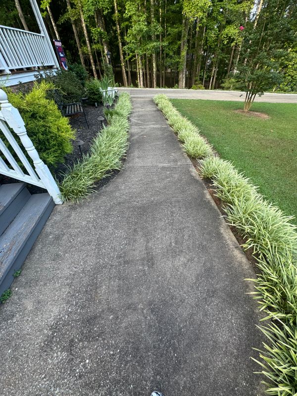 Pressure Washing 
