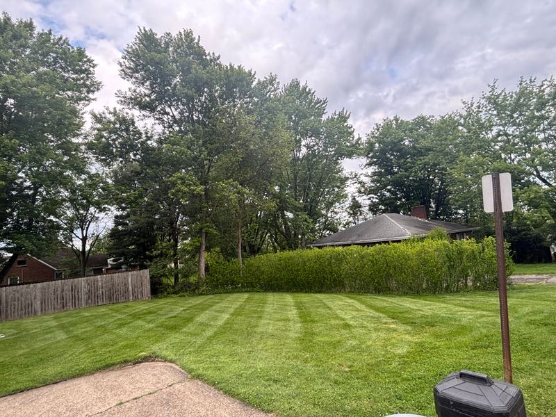 Lawn Care