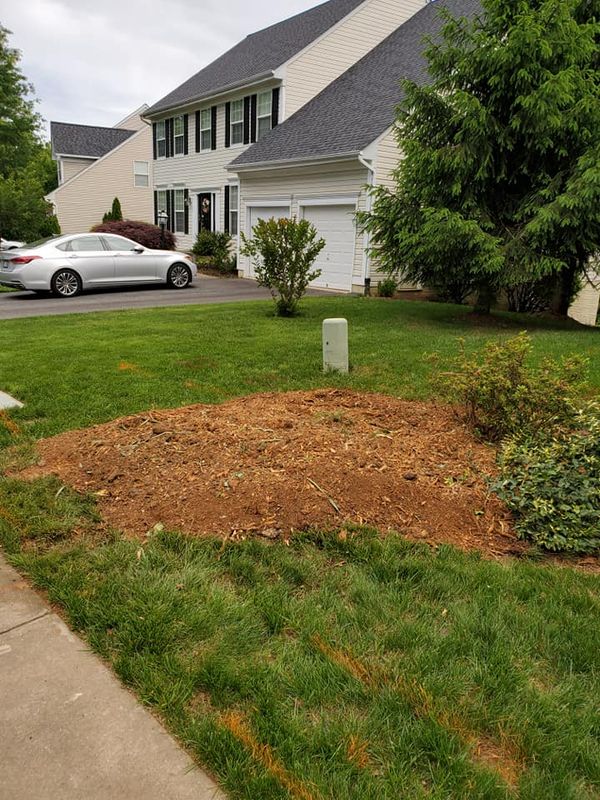 Stump Removal