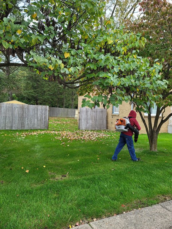 Lawn Care