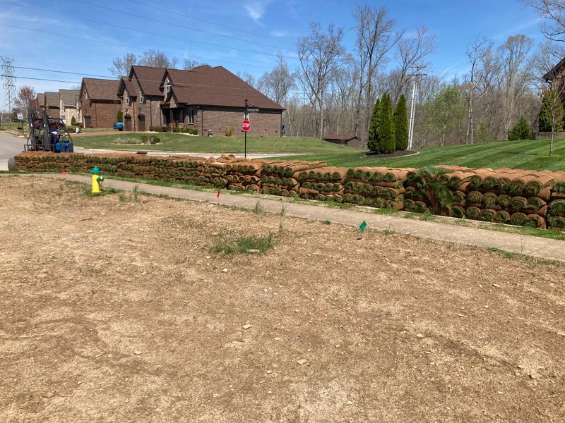 Other Lawn Services