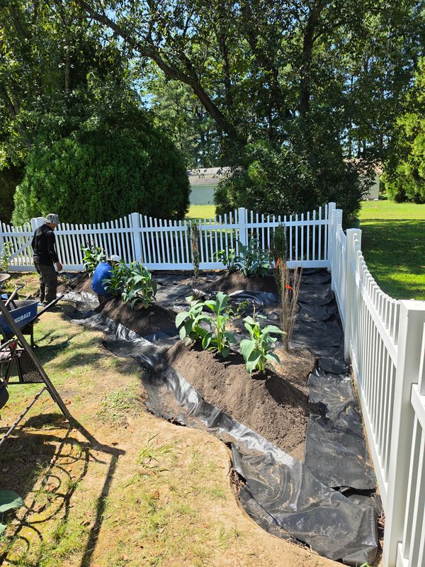 Landscape Design