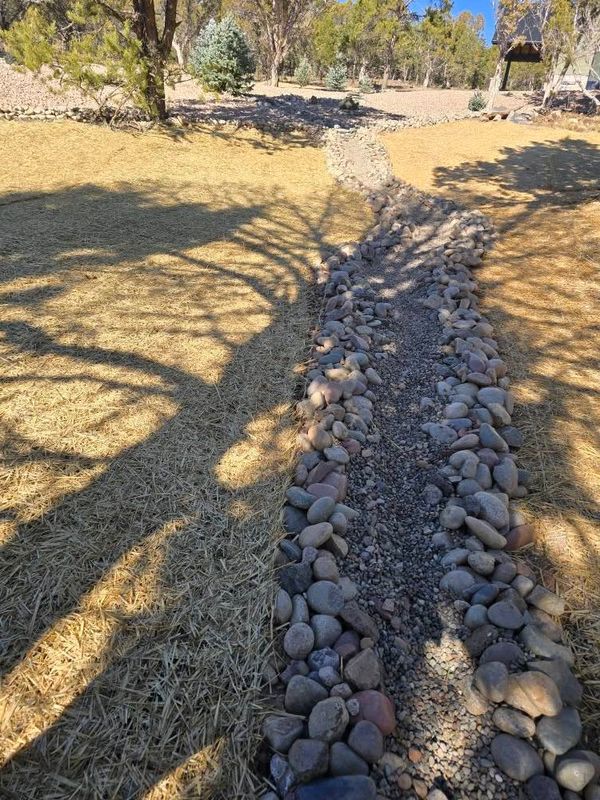 Xeriscaping