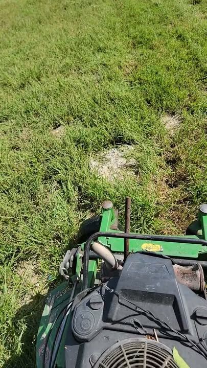 Lawn Mowing