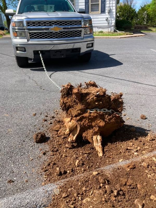 Landscape Install & Removal