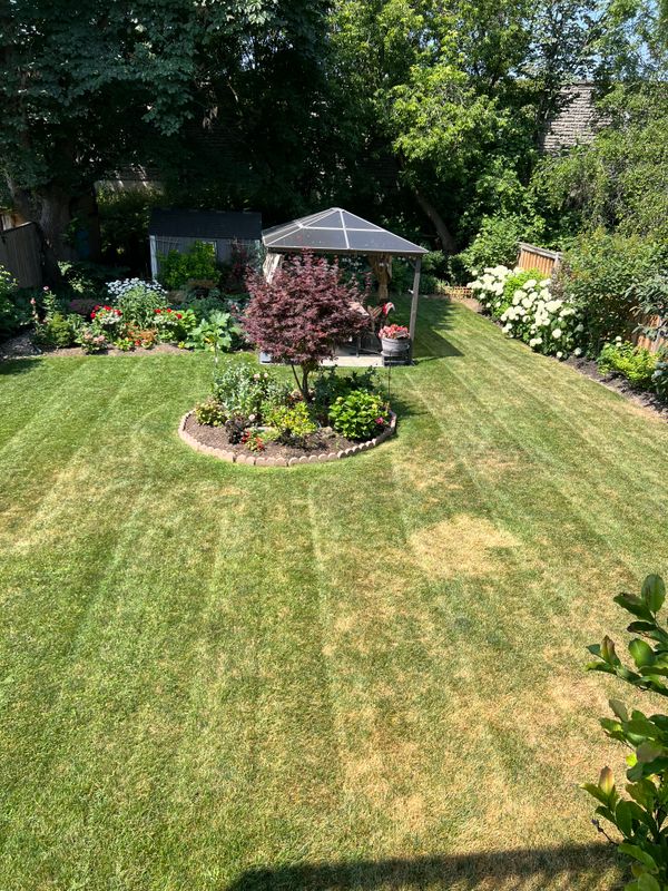 Lawn Care