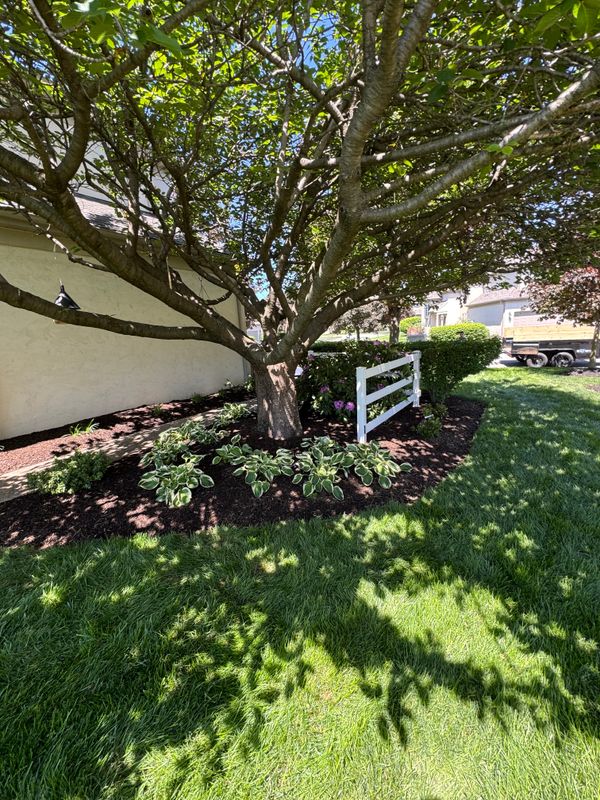 Landscape Designs