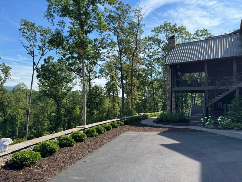 Landscape Design & Installation