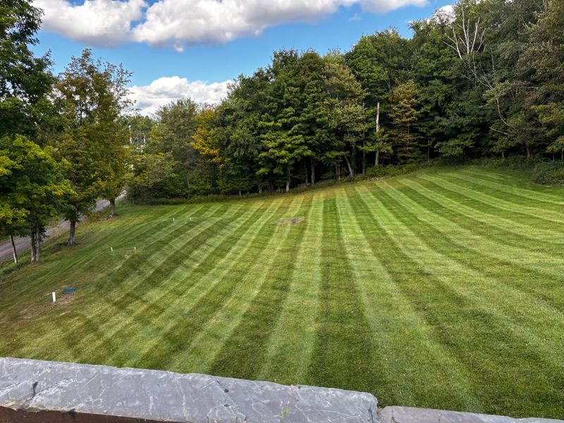 Lawn Maintenance