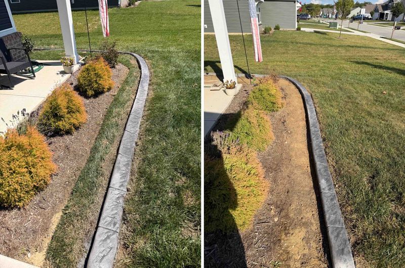 Lawn Care and Maintenance