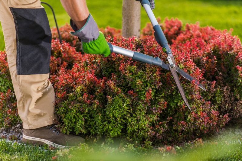 Commercial Property Maintenance