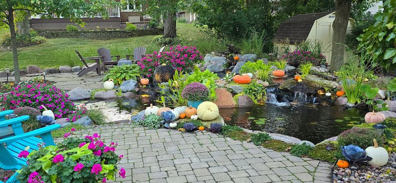 Ecosystem Ponds