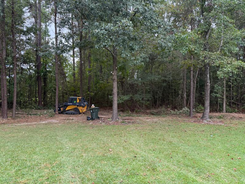 Land Clearing