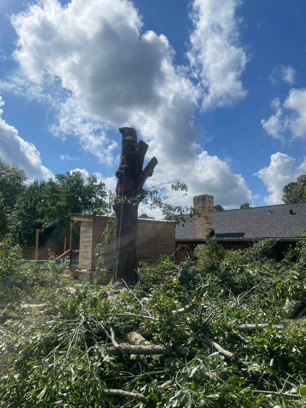 Tree Removal gallery