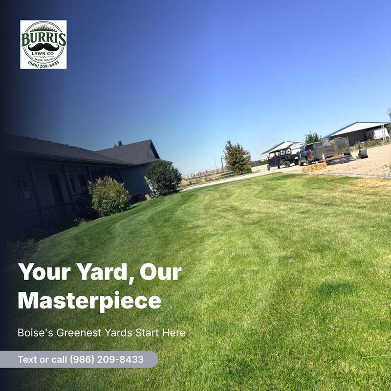 Lawn Mowing and Maintenance