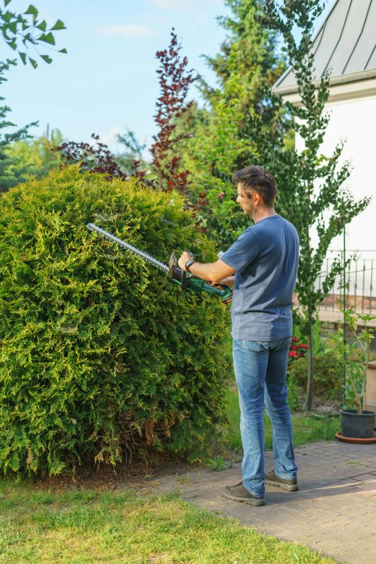 Tree and Shrub Care