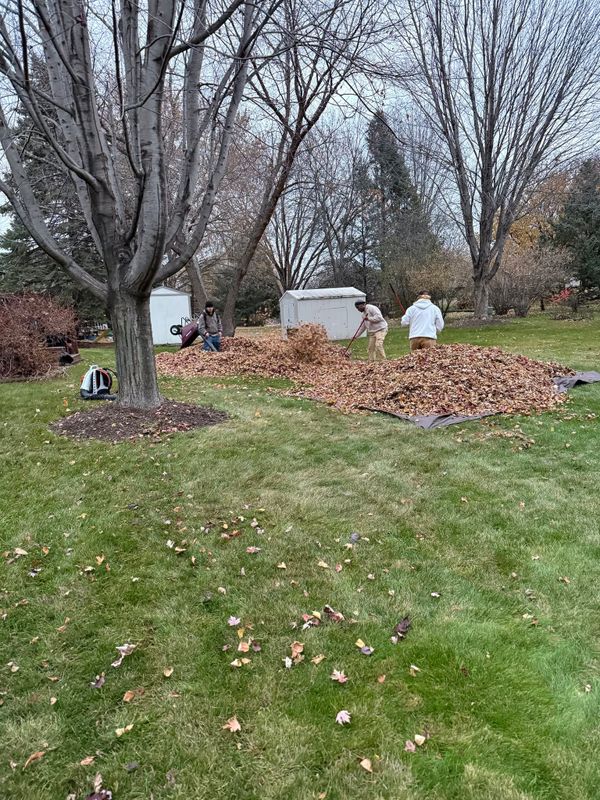 Seasonal Clean-up Services