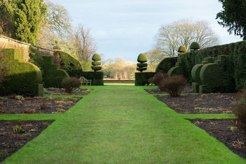 Biweekly Lawn Maintenance