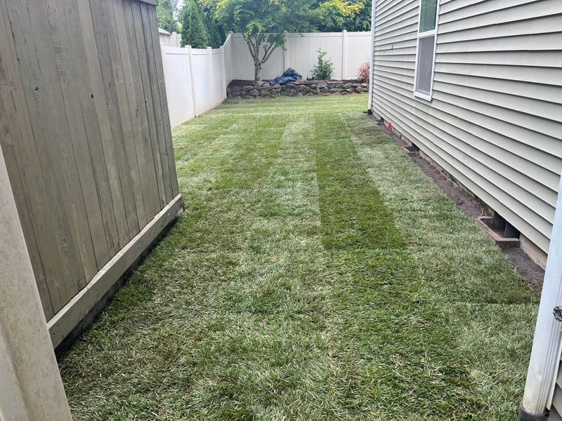Landscape Design