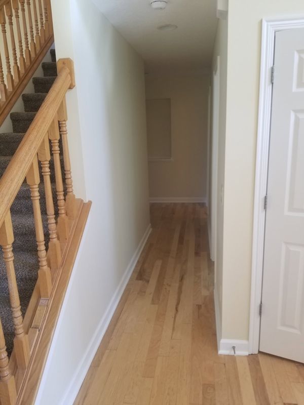 Interior Painting