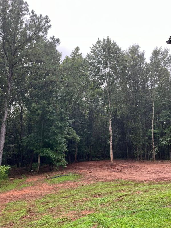Brush cutting/clearing