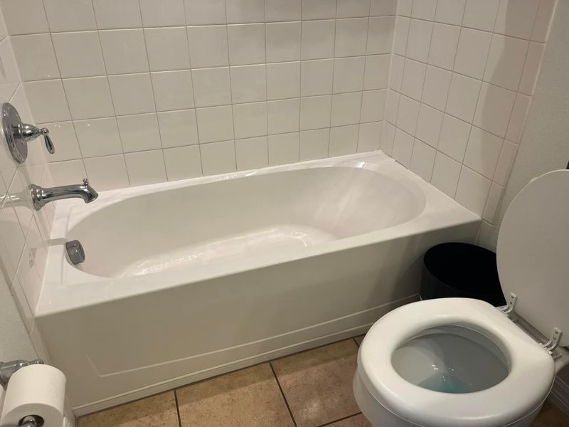 Bathroom Cleaning
