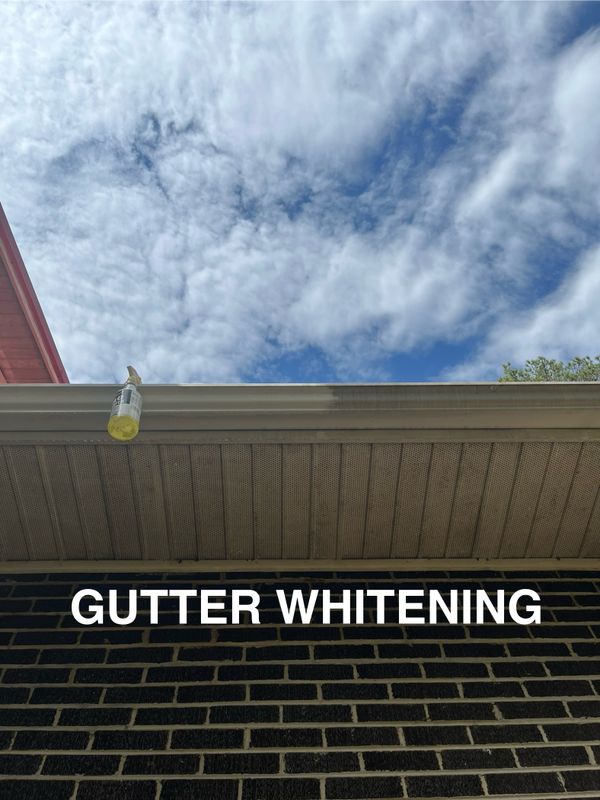 Pressure Washing 