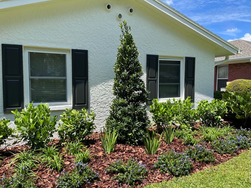 Landscape Design and Installation