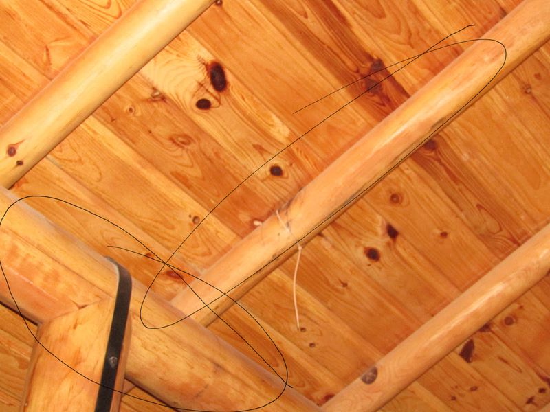 Interior Renovations