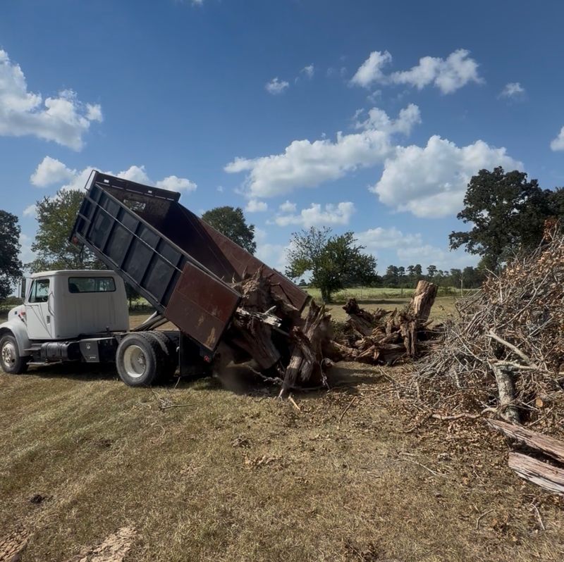 Debris Removal