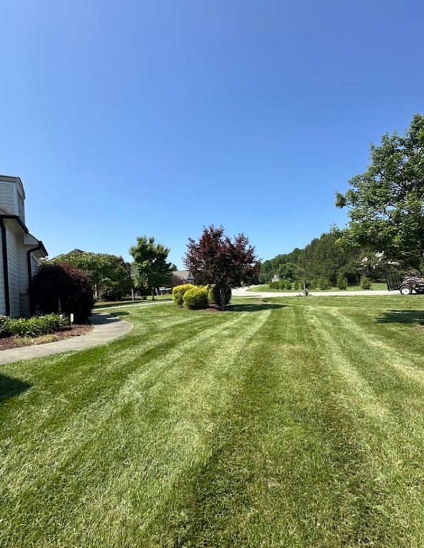 Lawn Mowing and Maintenance