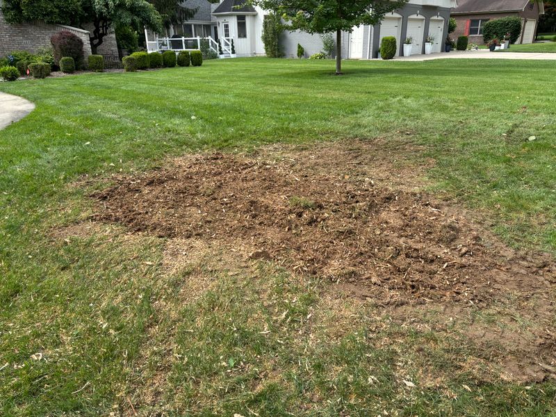 Stump Removal