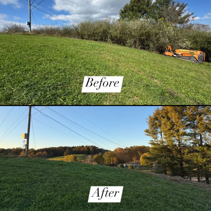 Before and Afters