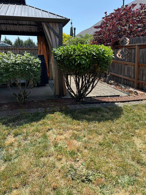 Landscaping