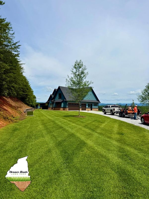 Full Service Lawn Maintenance