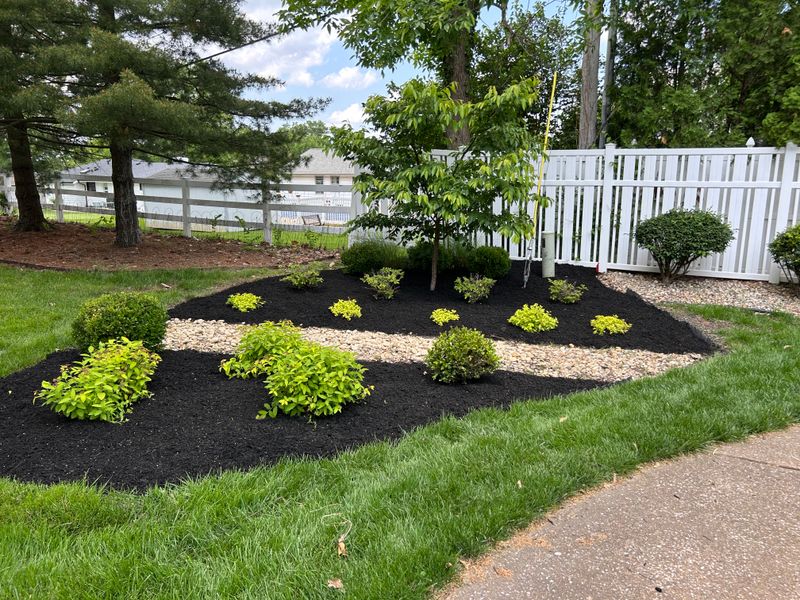 Garden Bed Installation