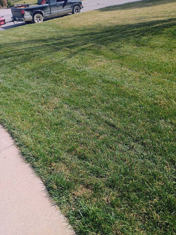 Lawn Maintenance