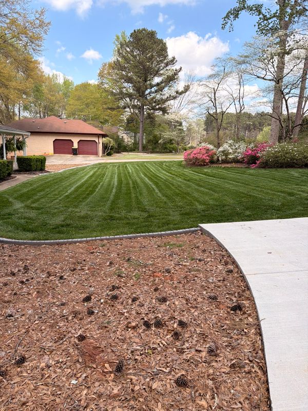 Hydroseeding gallery