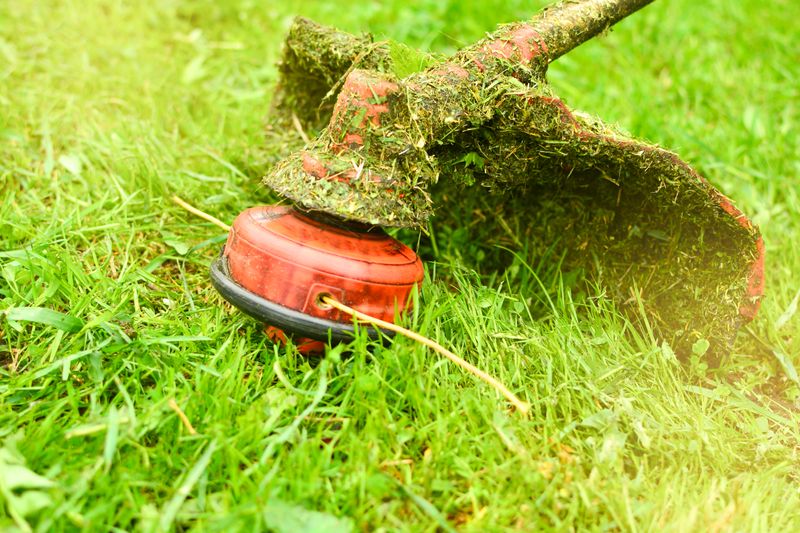 Brush Mowing