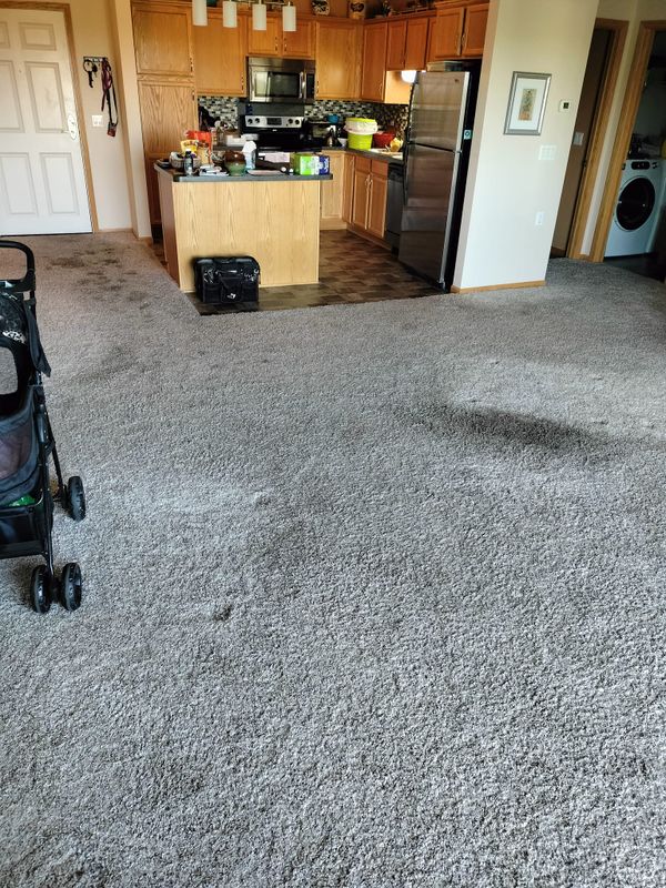 Carpet Installation and Repair