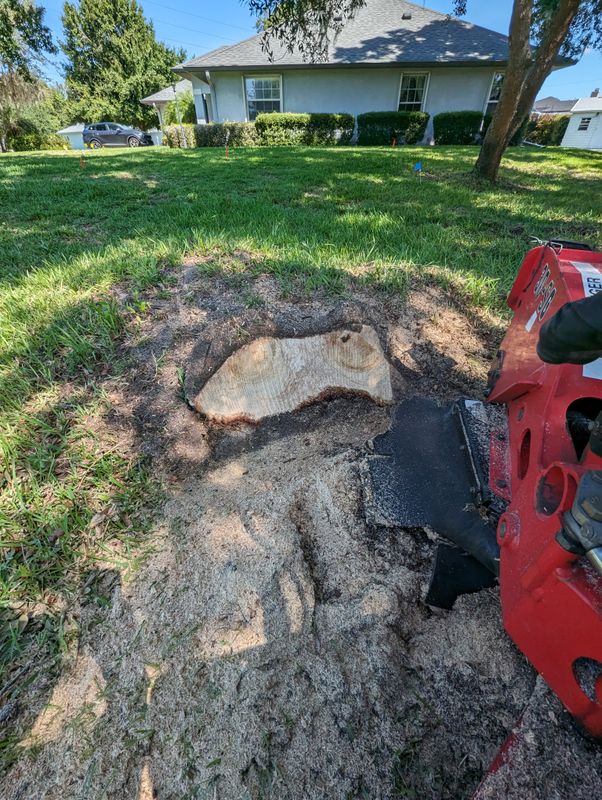 Stump Removal
