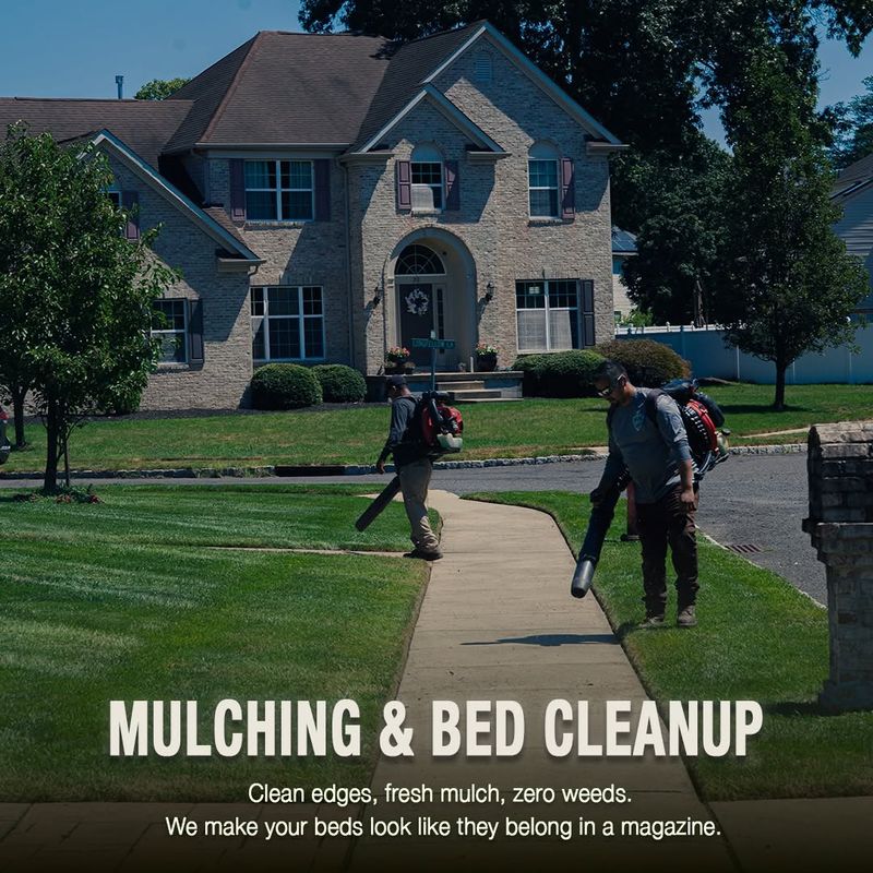 Seasonal Clean-Up